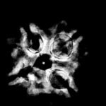4 Mukhi Rudraksha 20.55 Mm X-Ray (2)