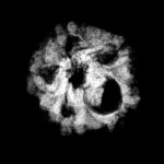 5 Mukhi Rudraksha Nepal - (17.25 MM)