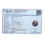 5 Mukhi Rudraksha Nepal - (17.25 MM)