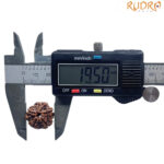 5 Mukhi Rudraksha Nepal - (19.50 MM)