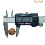 5 Mukhi Rudraksha Nepal (21.10 Mm)