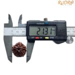 5 Mukhi Rudraksha Nepal - (21.31 MM)