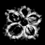 5 Mukhi Rudraksha Nepal - (24.56 MM)