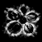 5 Mukhi Rudraksha Nepal - (24.56 MM)
