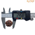 5 Mukhi Rudraksha Nepal - (24.58 MM)