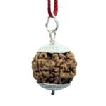 5 Mukhi Rudraksha Nepal With Silver Capping