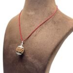 5 Mukhi Rudraksha Nepal With Silver Capping - 19.36 Mm