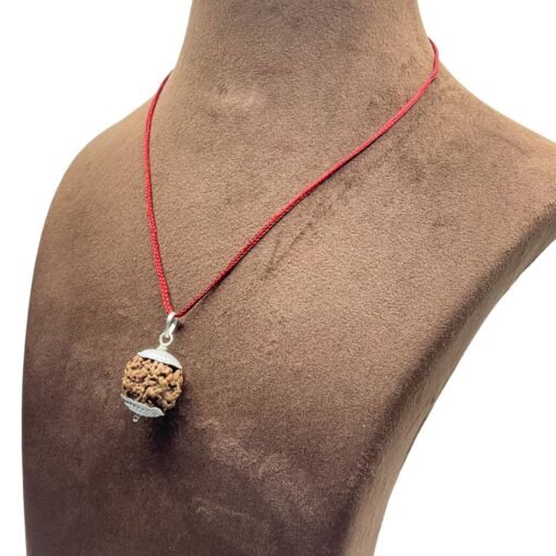 5 Mukhi Rudraksha Nepal With Silver Capping - 19.36 Mm