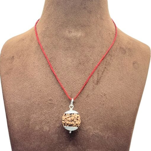 5 Mukhi Rudraksha Nepal With Silver Capping - 19.36 Mm