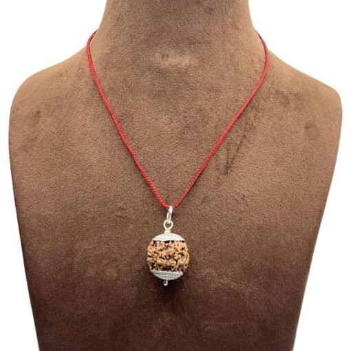 5 Mukhi Rudraksha Nepal With Silver Capping - 19.36 Mm