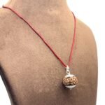 5 Mukhi Rudraksha Nepal With Silver Capping - 20.20 Mm