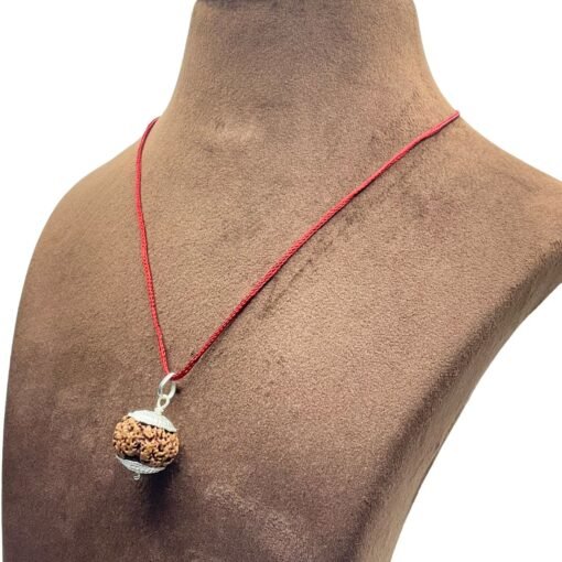 5 Mukhi Rudraksha Nepal With Silver Capping - 20.20 Mm