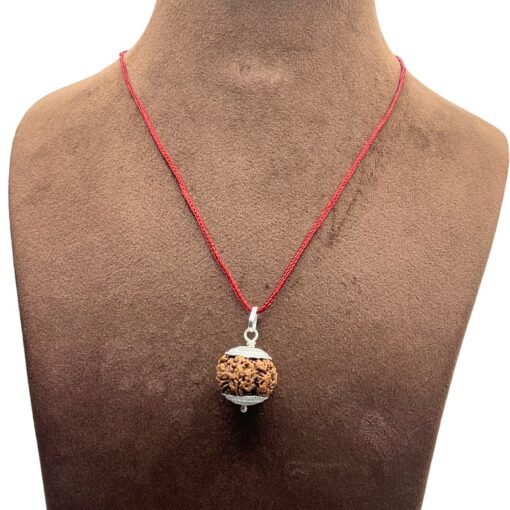 5 Mukhi Rudraksha Nepal With Silver Capping - 20.20 Mm