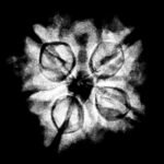 5 Muukhi Rudraksha 18.75 Mm X-Ray