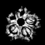 5 Muukhi Rudraksha 19.37 Mm X-Ray