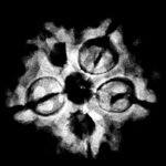 5 Muukhi Rudraksha 19.85 Mm X-Ray