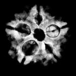 5 Muukhi Rudraksha 20.40 Mm X-Ray