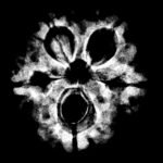 5 Muukhi Rudraksha 19.95 Mm X-Ray