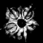 5 Muukhi Rudraksha 20.65 Mm X-Ray