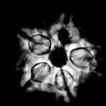 5 Muukhi Rudraksha 21.10 Mm X-Ray