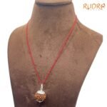 Collector Saat Mukhi Rudraksha Nepal Silver Capped ( 22.35 Mm )