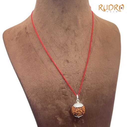 Collector Saat Mukhi Rudraksha Nepal Silver Capped ( 22.35 Mm )