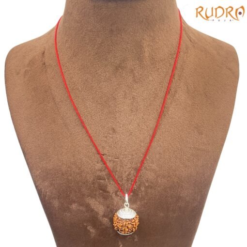 Collector Saat Mukhi Rudraksha Nepal Silver Capped ( 22.35 Mm )
