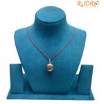 6 Mukhi Nepal Rudraksha With Silver Capping - (19.20 MM)