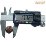6-Mukhi-Rudraksha-Nepal-17.72-Mm-Op-C.jpg
