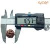 6 Mukhi Rudraksha Nepal (18.97 Mm) 14 6-Mukhi-Rudraksha-Nepal-18.97-Mm-Op-C.jpg