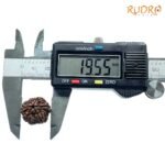 6-Mukhi-Rudraksha-Nepal-19.55-Mm-Op-C.jpg