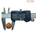 6 Mukhi Rudraksha Nepal (19.70 Mm)