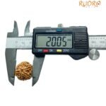 6 Mukhi Rudraksha Nepal (20.05 Mm)