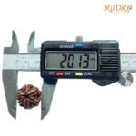 6-Mukhi-Rudraksha-Nepal-20.13-Mm-Op-C.jpg