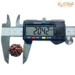 6-Mukhi-Rudraksha-Nepal-20.42-Mm-Op-C.jpg