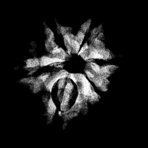 6-Mukhi-Rudraksha-Nepal-20.42-Mm-X-Ray.jpg