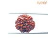 6-Mukhi-Rudraksha-Nepal-20.45-Mm-Bp-C.jpg