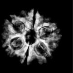 6-Mukhi-Rudraksha-Nepal-21.19-Mm.jpg
