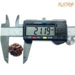 6-Mukhi-Rudraksha-Nepal-21.19-Mm-Op-C.jpg