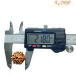 6 Mukhi Rudraksha Nepal (21.80 Mm)