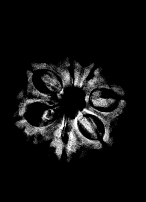 7-Mukhi-Nepal-21.75.Png