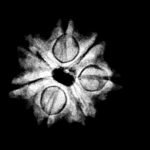 7-Mukhi-Nepal-Rudraksha-16.97Mm.jpg