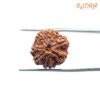 7 Mukhi Nepal Rudraksha (19.98Mm) 13 7-Mukhi-Nepal-Rudraksha-19.98Mm-Up-C.jpg