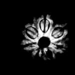 7-Mukhi-Nepal-Rudraksha-19.98Mm-X-Ray.jpg