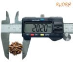 7-Mukhi-Nepal-Rudraksha-20.20Mm-Op-C.jpg