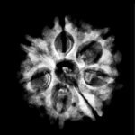 7-Mukhi-Nepal-Rudraksha-20.75Mm-Fp-C-1.Jpg