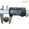 7-Mukhi-Nepal-Rudraksha-21.40Mm-Op-C.jpg