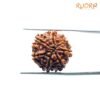 7 Mukhi Nepal Rudraksha (21.44Mm) 14 7-Mukhi-Nepal-Rudraksha-21.44Mm-Bp.jpg