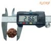 7 Mukhi Nepal Rudraksha (21.66Mm) 15 7-Mukhi-Nepal-Rudraksha-21.66Mm-Op-C.jpg