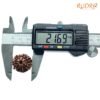 7 Mukhi Nepal Rudraksha (21.69Mm) 15 7-Mukhi-Nepal-Rudraksha-21.69Mm-Op-C-2.Jpg
